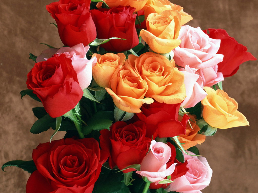 Цветы Розы Rose, wallpaper 0167 картинка, обои рабочий стол