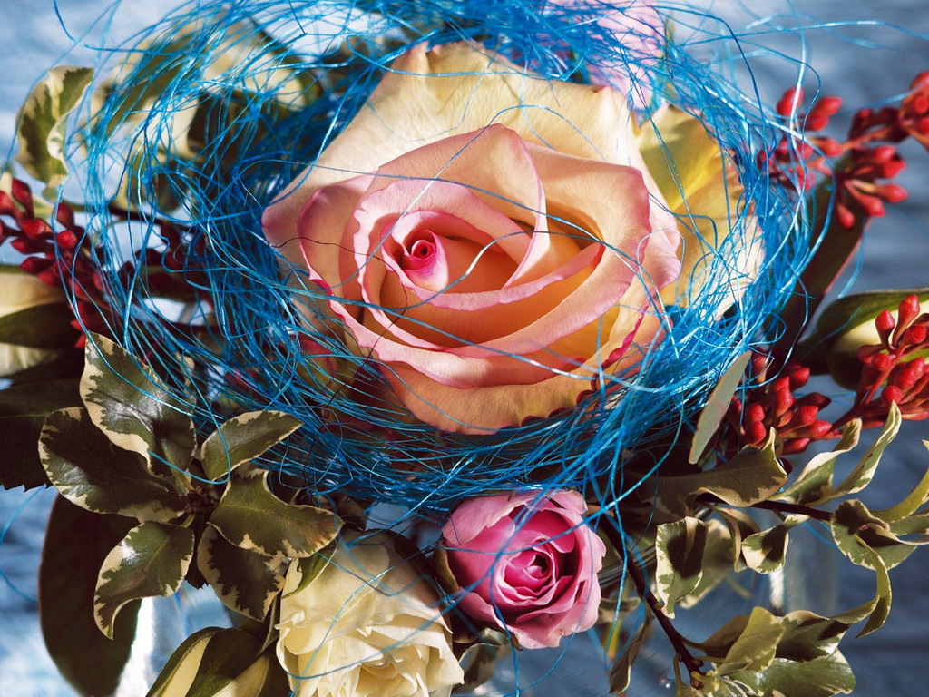 Цветы Розы Rose, wallpaper 0138 картинка, обои рабочий стол