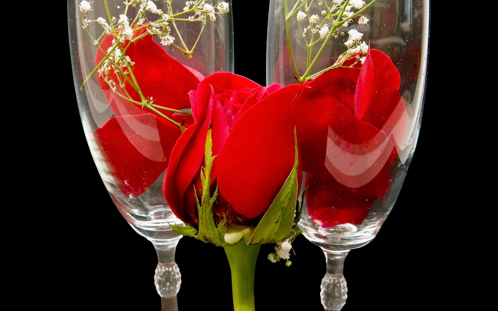 Цветы Розы роза, красная, бокал, цветок, бутон, лепестки картинка, обои рабочий стол