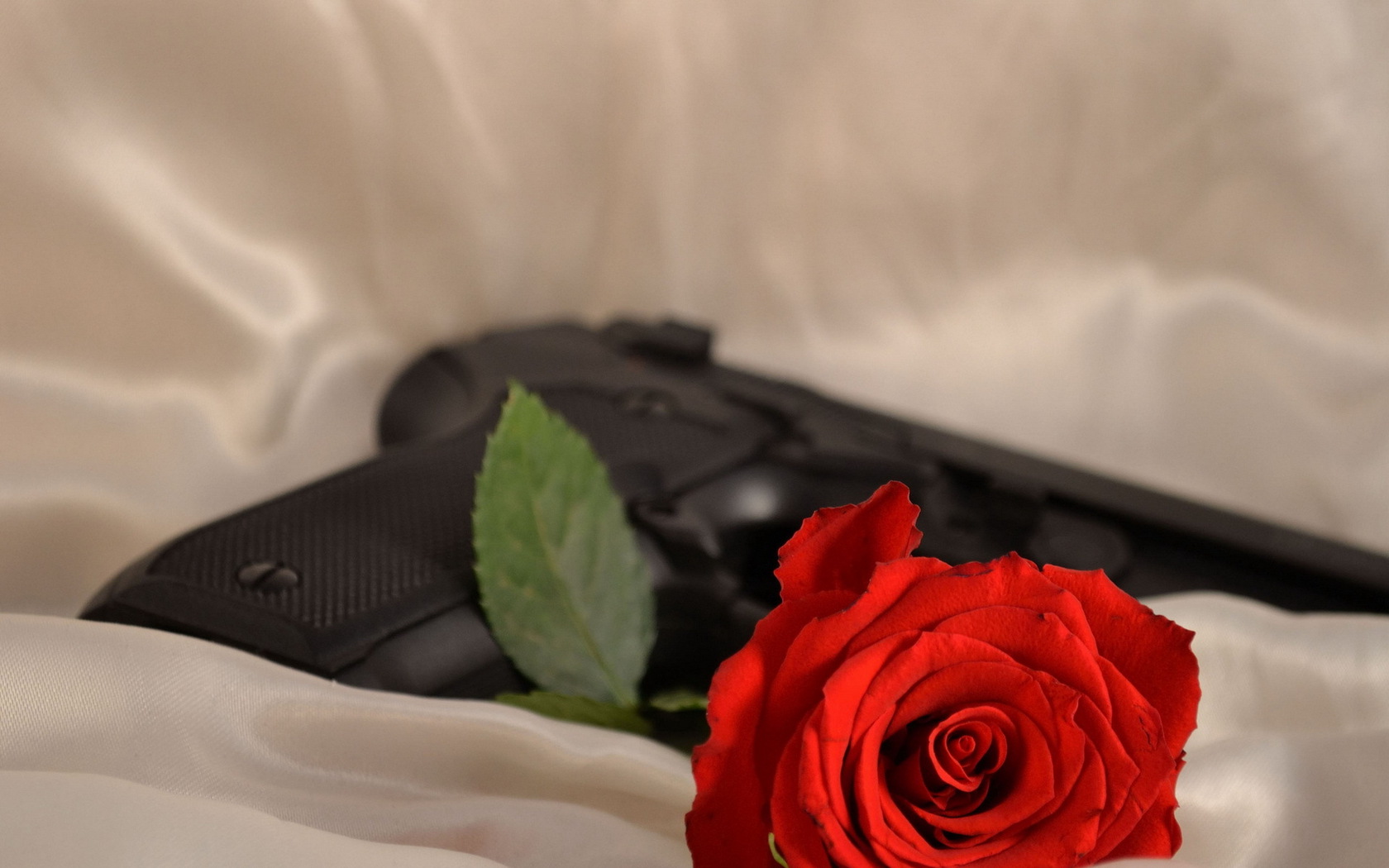 Цветы Розы фон, роза, пистолет картинка, обои рабочий стол