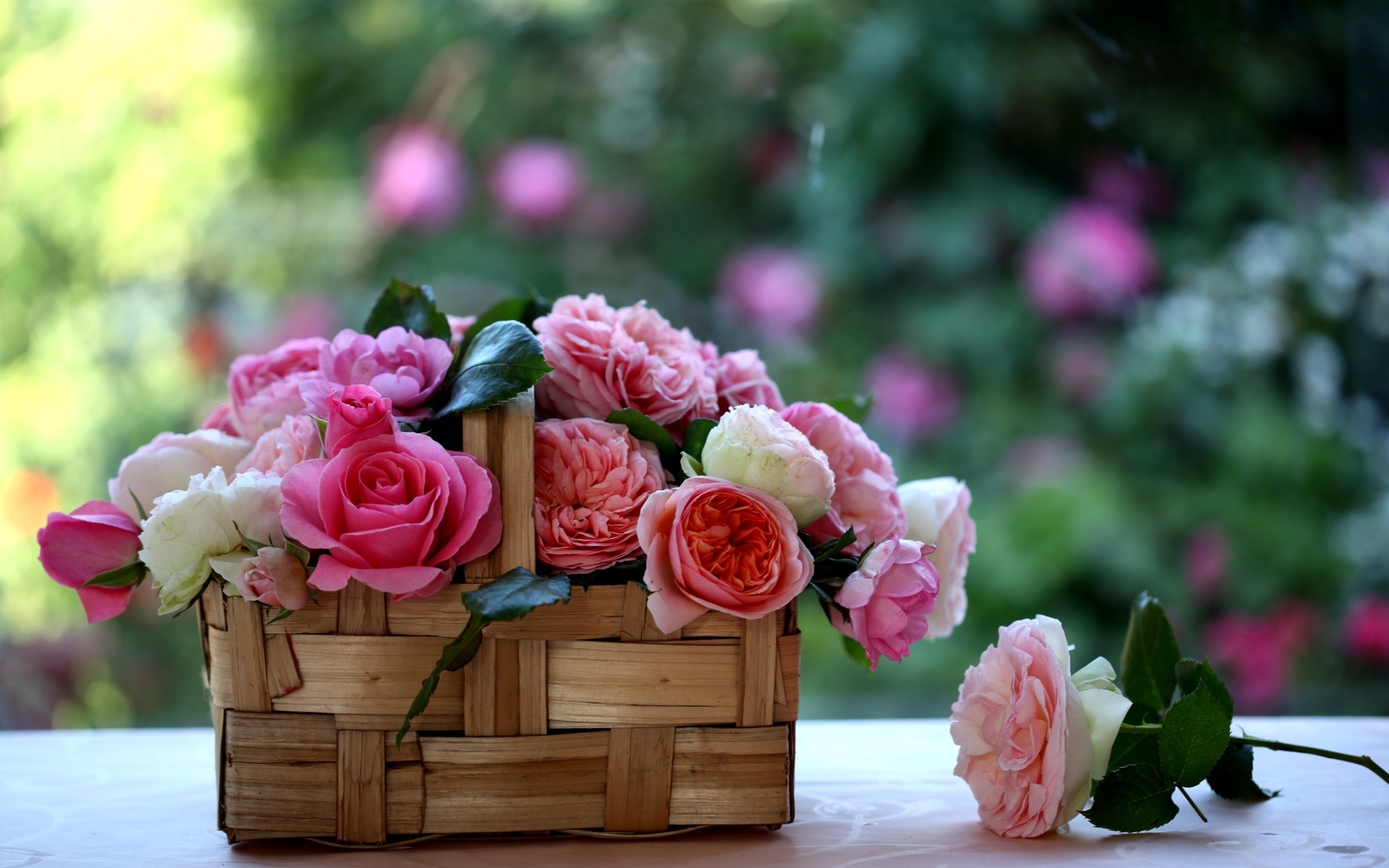 Цветы Розы розы, корзинка, лукошко картинка, обои рабочий стол