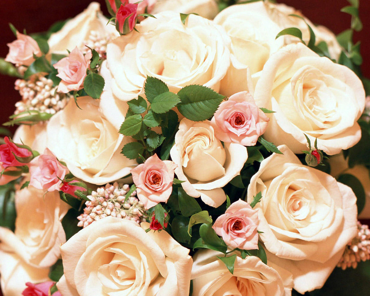 Цветы Розы Rose, wallpaper 0134 картинка, обои рабочий стол