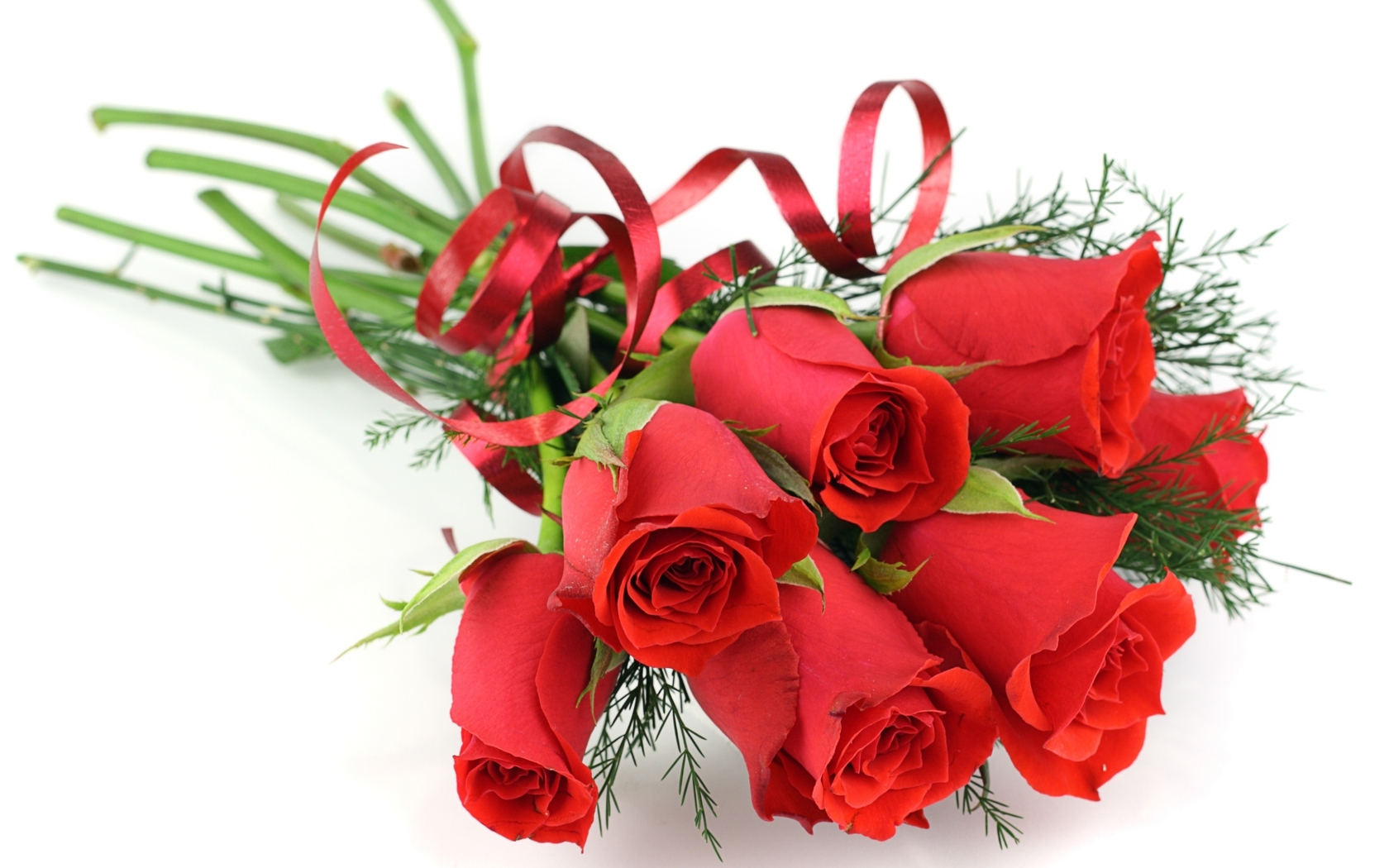 Цветы Розы розы, красные, букет, цветы, ленточка, белый фон картинка, обои рабочий стол
