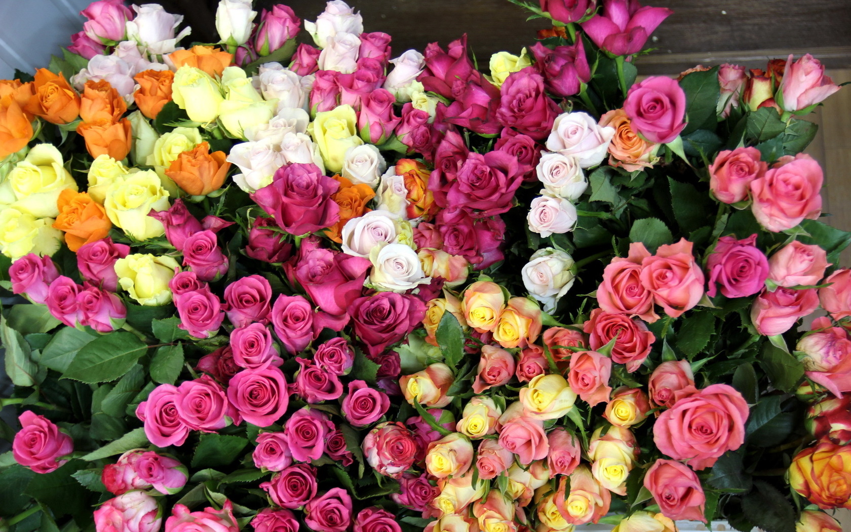 Цветы Розы розы, цветы, красивые, цветок, букет, природа картинка, обои рабочий стол