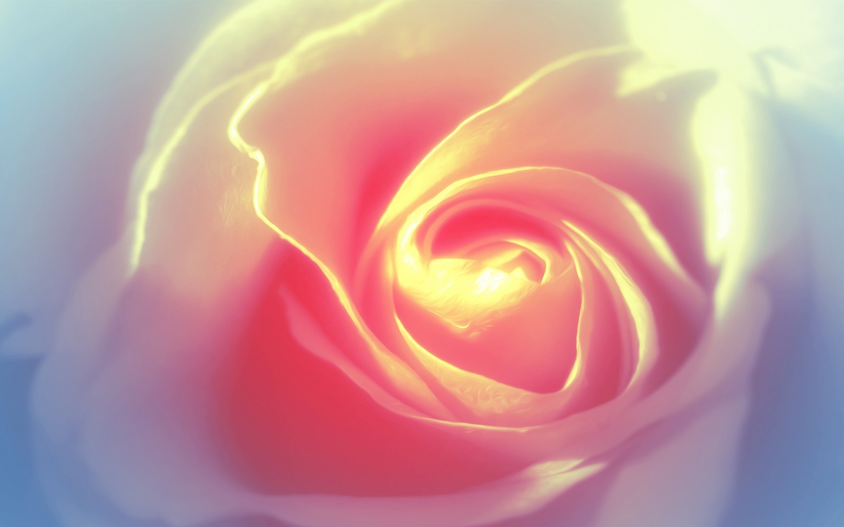 Цветы Розы роза, белая, нежность картинка, обои рабочий стол