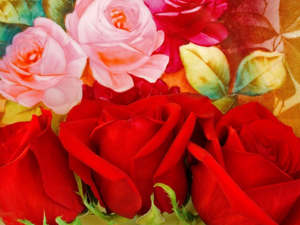 Цветы Розы Rose, wallpaper 0165 картинка, обои рабочий стол