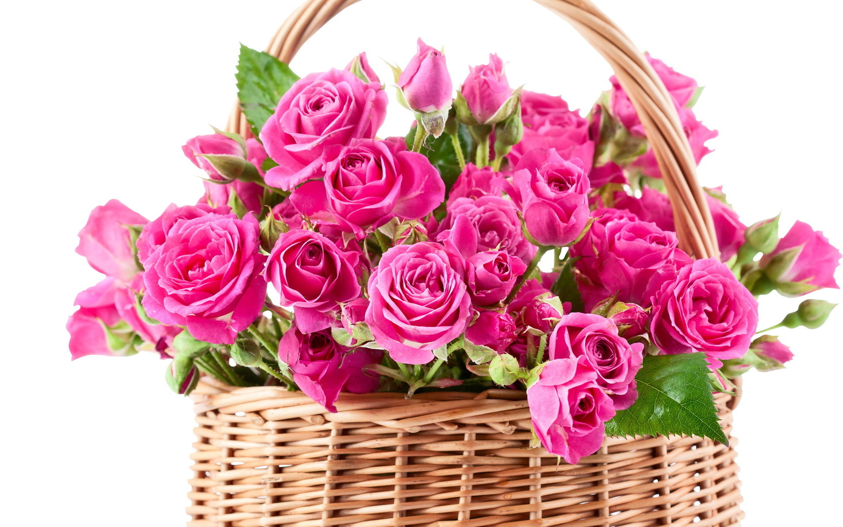 Цветы Розы розы, розовые, цветы, красивые, букет, корзина картинка, обои рабочий стол
