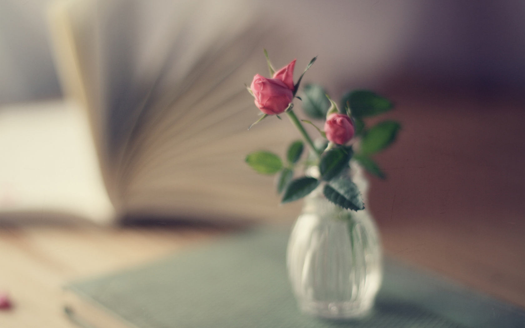 Цветы Розы книга, ваза, розовые, розы, букет, фокус картинка, обои рабочий стол