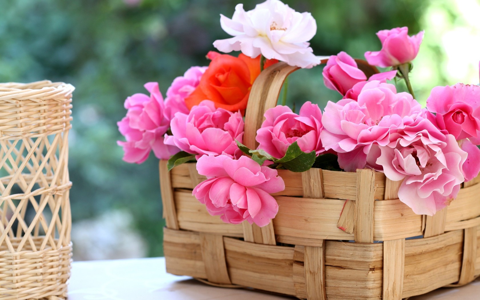 Цветы Розы розы, корзинка, лепестки картинка, обои рабочий стол