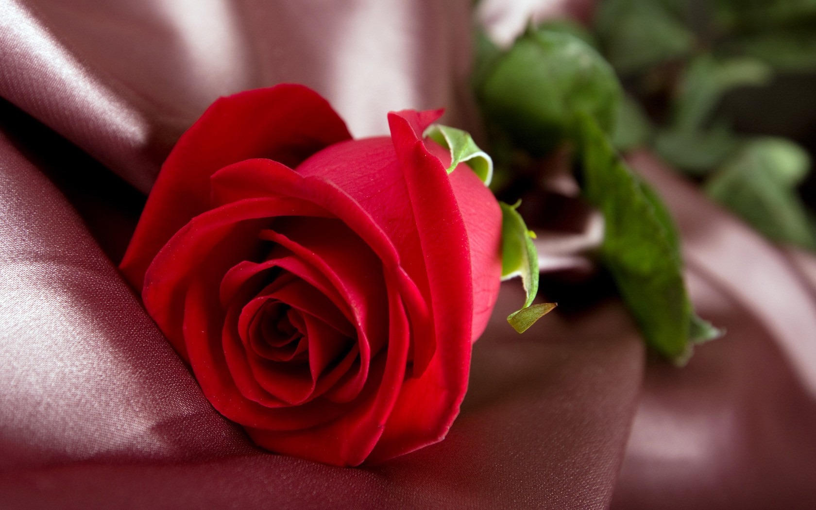 Цветы Розы цветы, цветок, роза, красная, ткань, бутон картинка, обои рабочий стол