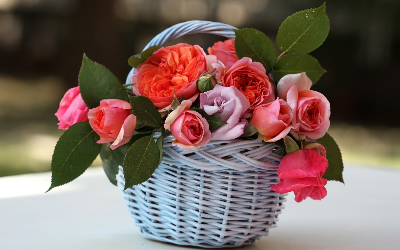 Цветы Розы корзинка, розы, листья, цветы картинка, обои рабочий стол