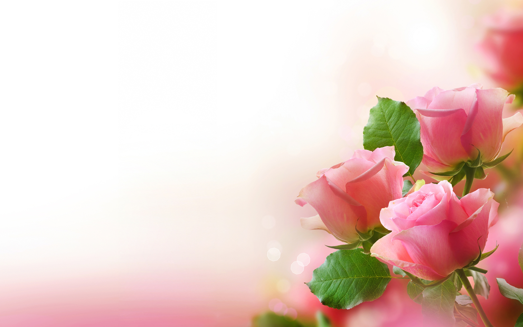Цветы Розы розовые, цветы, букет, листья, лепестки картинка, обои рабочий стол