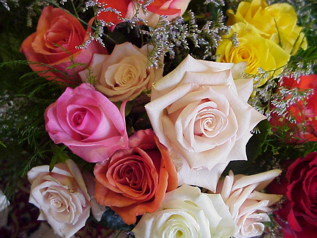 Цветы Розы Rose, wallpaper 0194 картинка, обои рабочий стол
