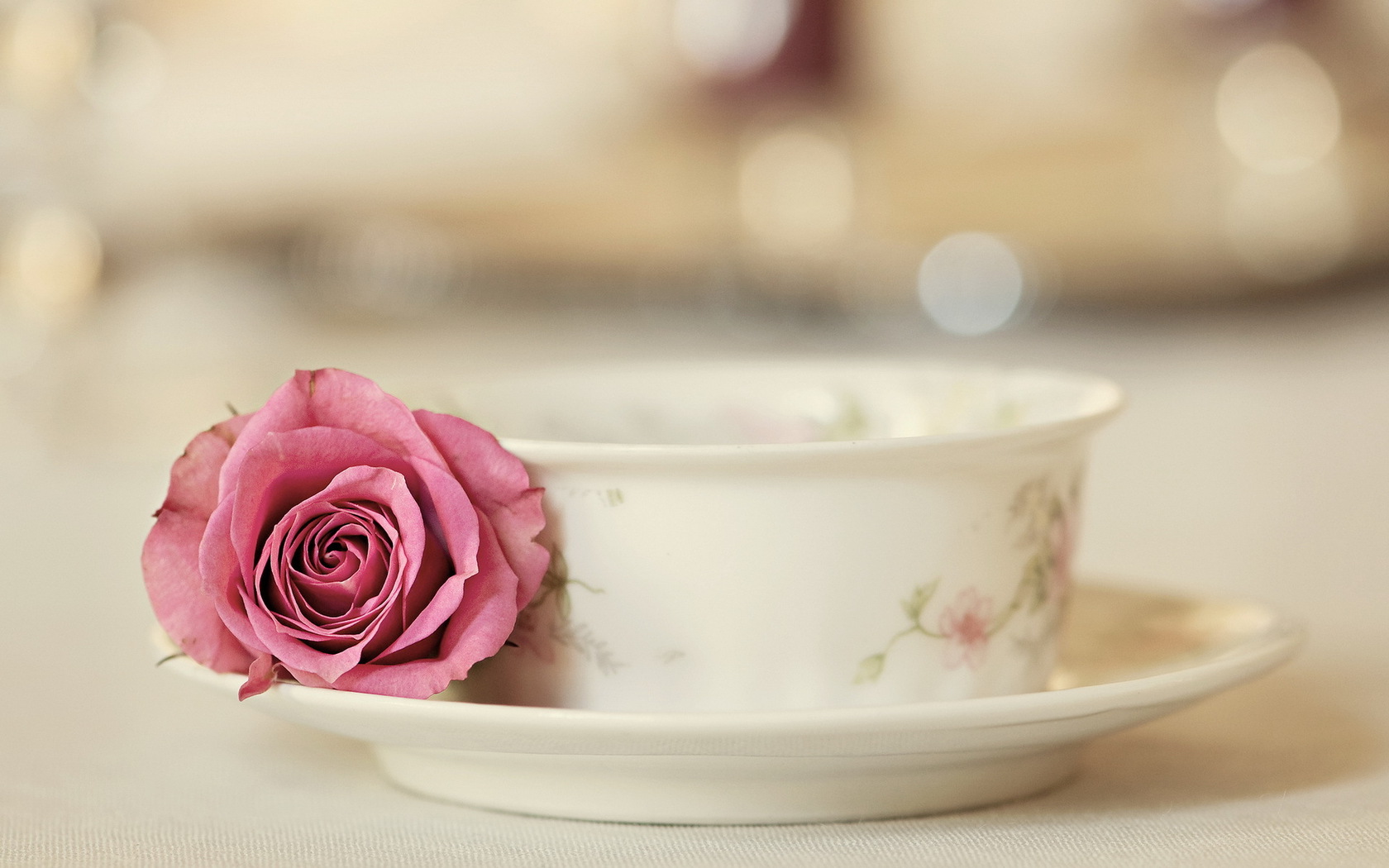Цветы Розы чашка, роза картинка, обои рабочий стол