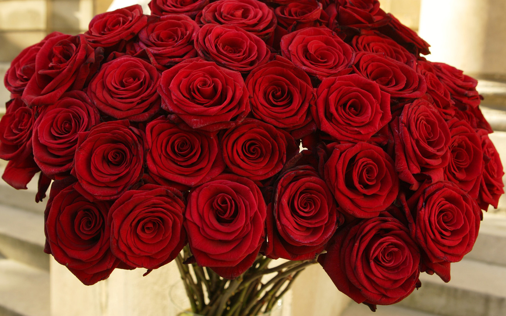 Цветы Розы розы, цветы, красные, букет картинка, обои рабочий стол
