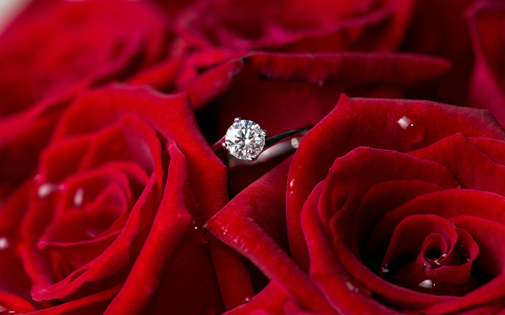 Цветы Розы цветы, розы, кольцо, красные, бриллиант картинка, обои рабочий стол
