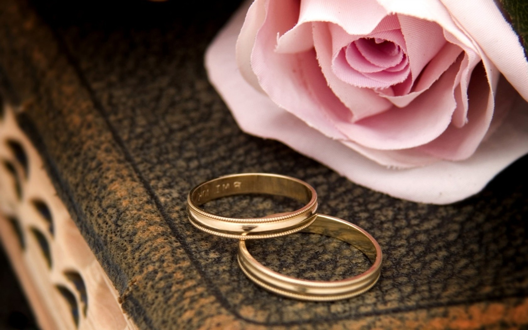 Цветы Розы роза, кольца, свадьба, праздник, макро картинка, обои рабочий стол