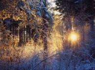 Девушка Зима лес, солнце обои рабочий стол