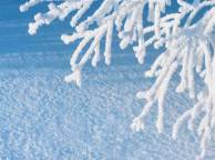 Девушка Зима ветка, дерево, снег обои рабочий стол