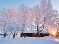 Девушка Зима деревья в снегу, домик, лучи солнца обои рабочий стол