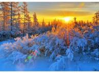 Девушка Зима закат, лес обои рабочий стол