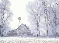 Девушка Зима снег, деревья, сарай обои рабочий стол