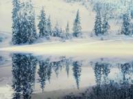 Девушка Зима отражение, снег, елки обои рабочий стол