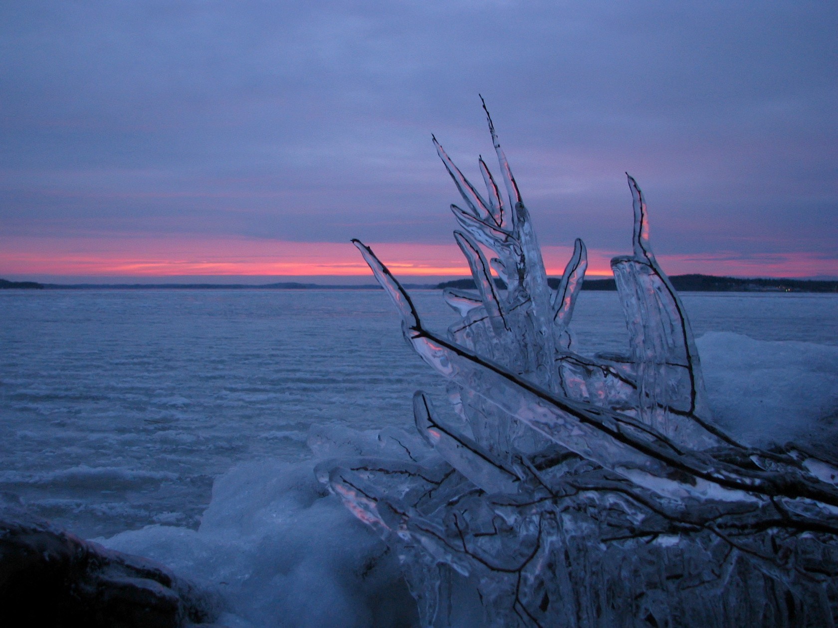 Природа, пейзаж Зима лед, ветка, вода красивые обои рабочий стол