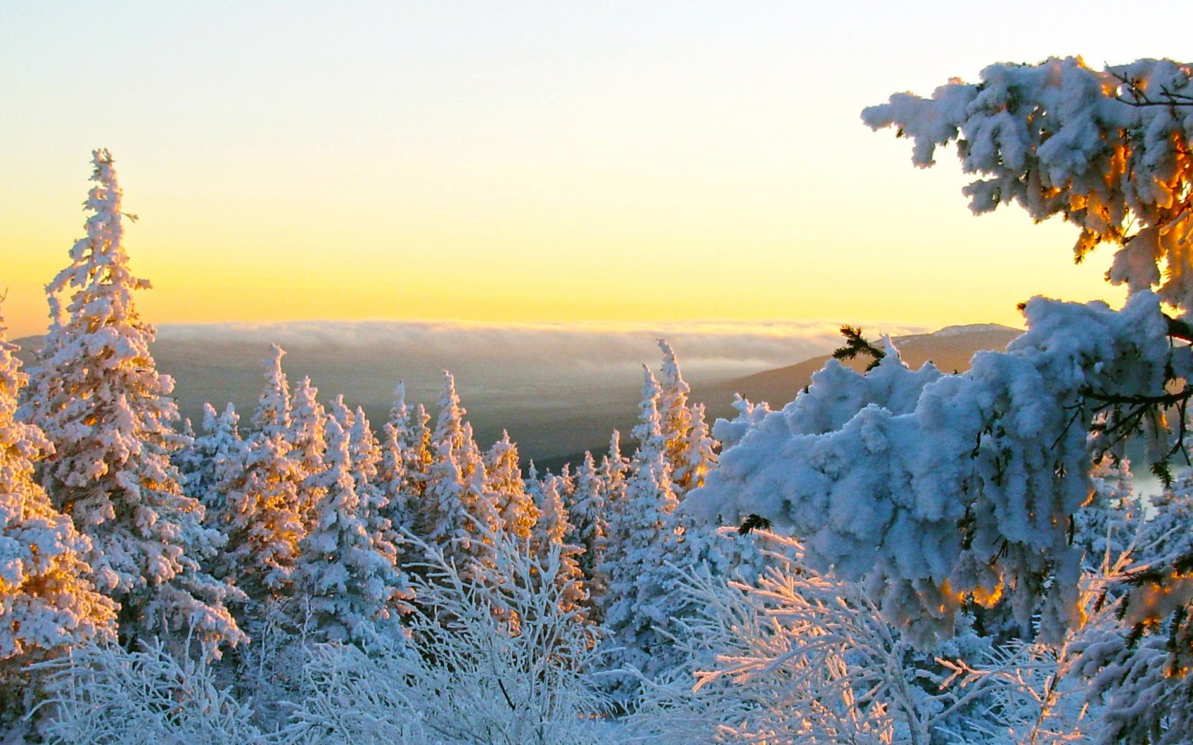 Природа, пейзаж Зима снег, деревья, лес красивые обои рабочий стол