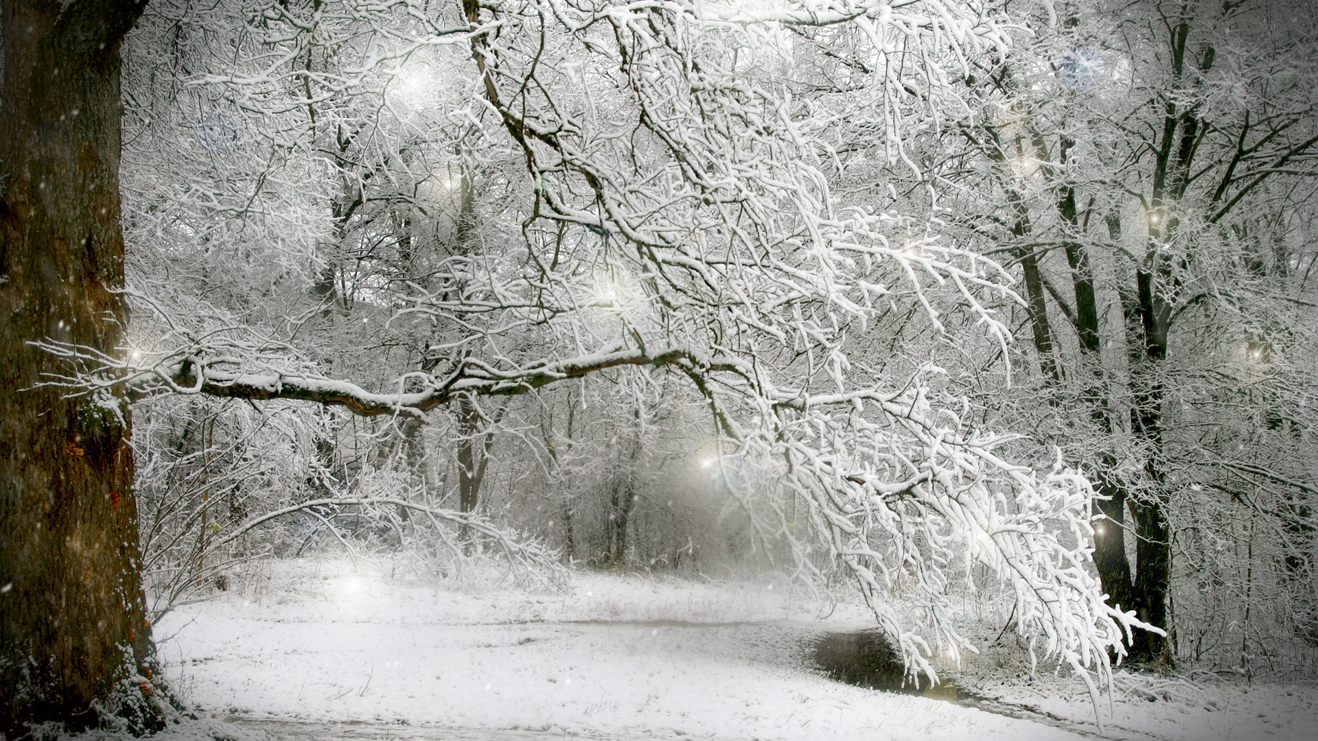 Природа, пейзаж Зима winter, wallpaper 0128 красивые обои рабочий стол