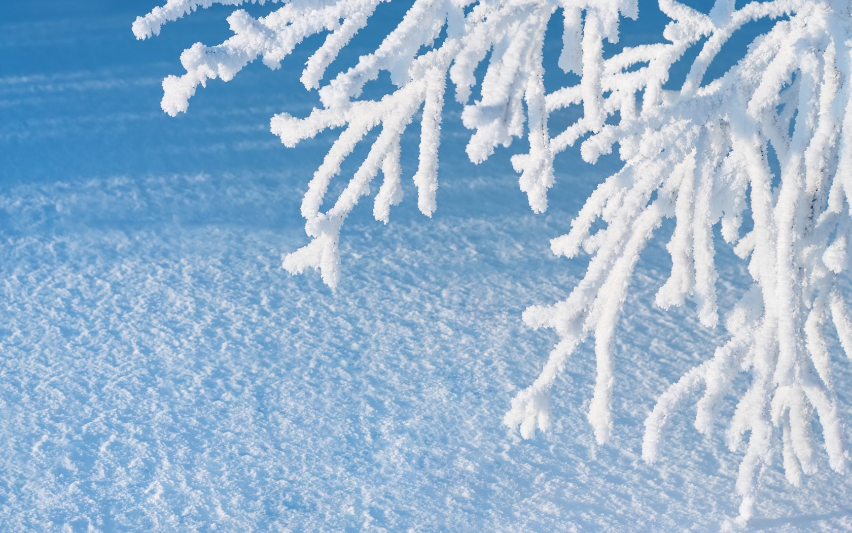 Природа, пейзаж Зима ветка, дерево, снег красивые обои рабочий стол