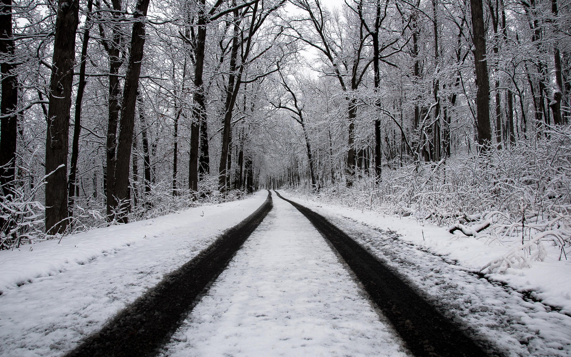 Природа, пейзаж Зима лес, дорога красивые обои рабочий стол