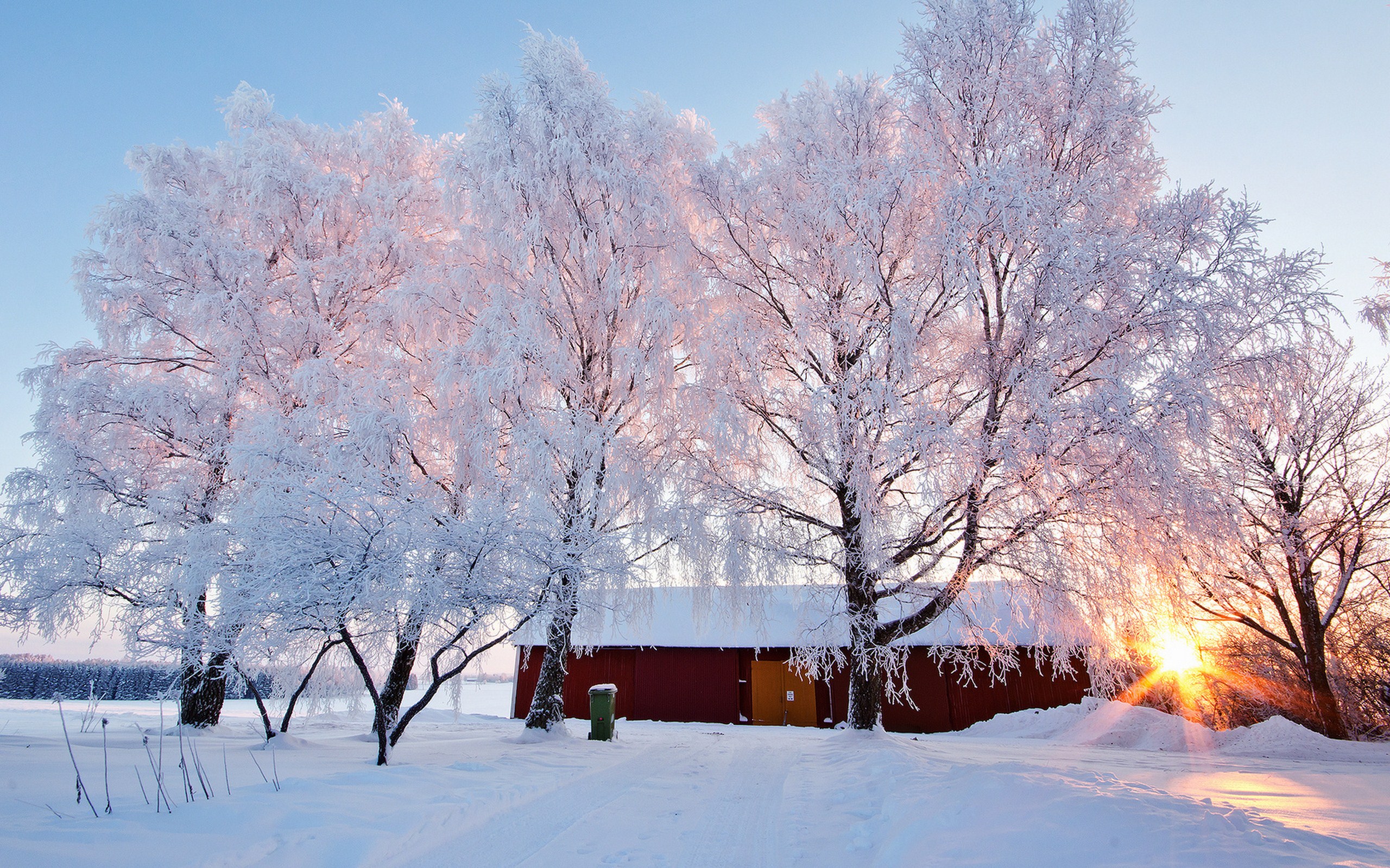 Природа, пейзаж Зима деревья в снегу, домик, лучи солнца красивые обои рабочий стол