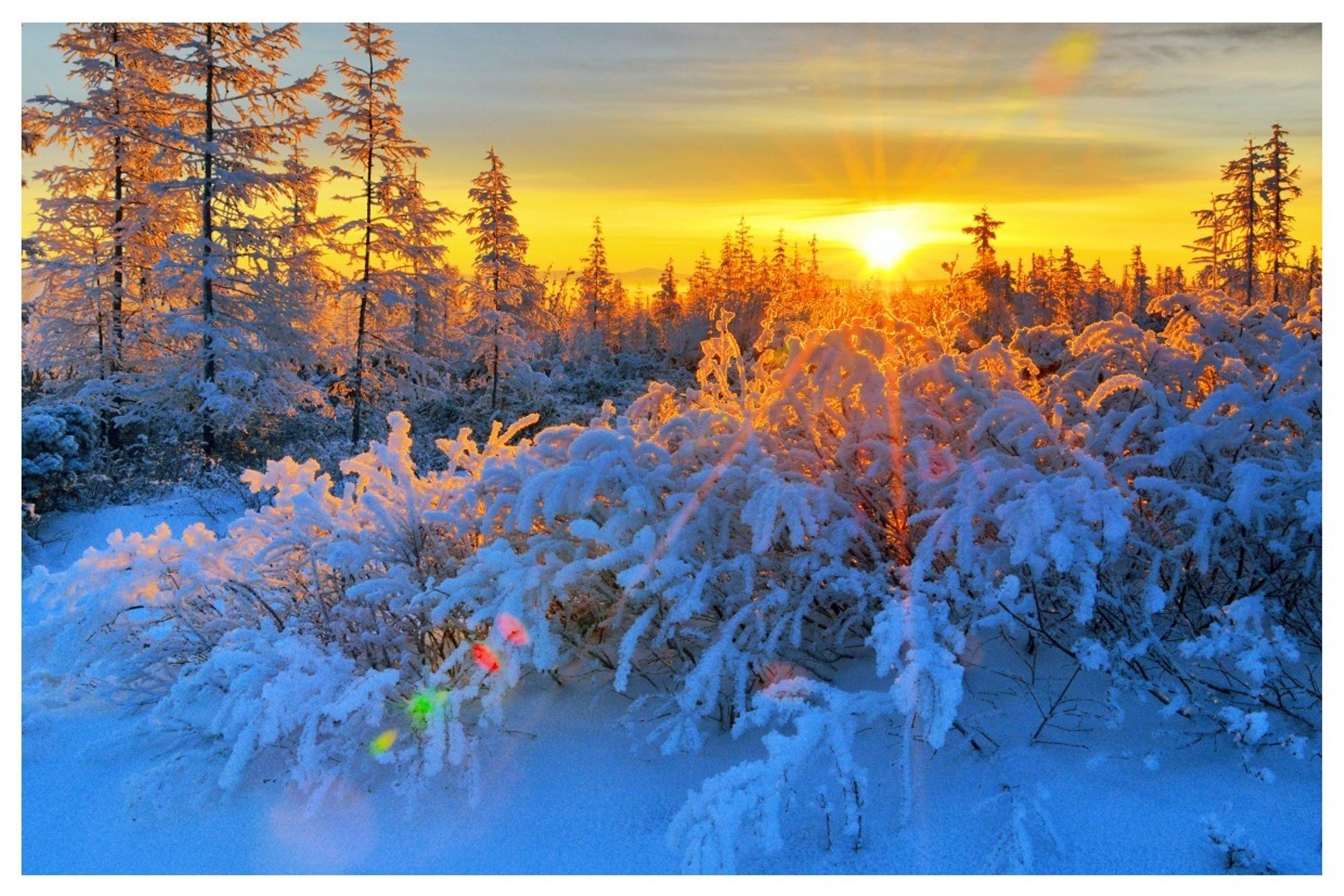 Природа, пейзаж Зима закат, лес красивые обои рабочий стол
