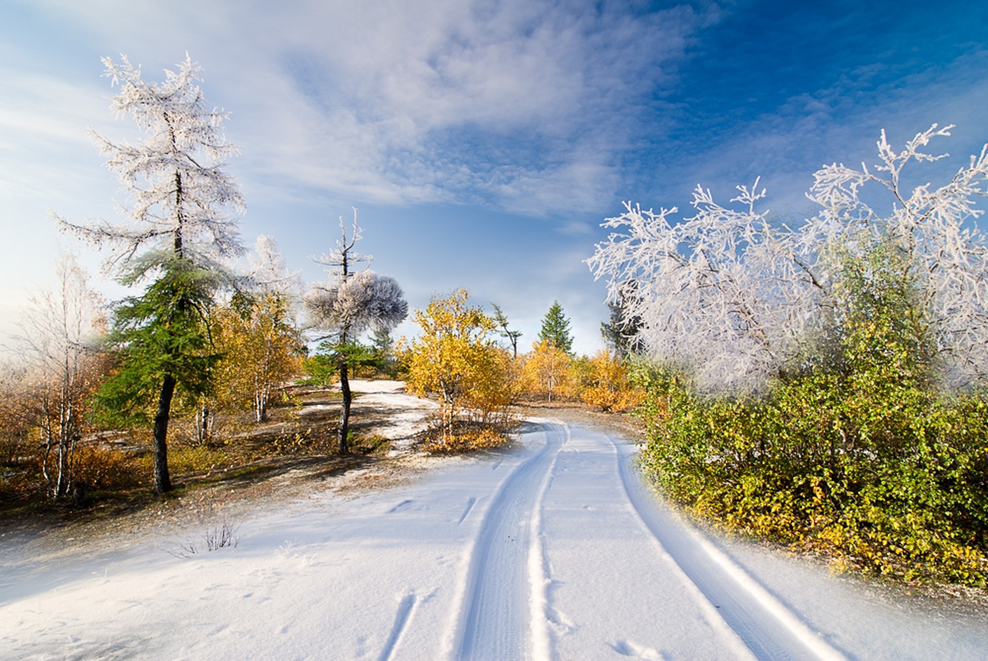 Природа, пейзаж Зима колея красивые обои рабочий стол
