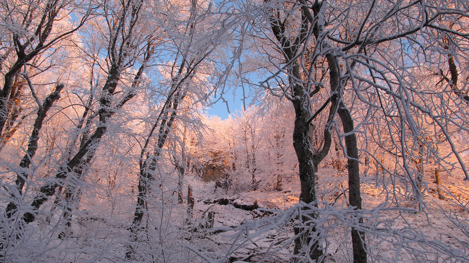 Природа, пейзаж Зима winter, wallpaper 0118 красивые обои рабочий стол