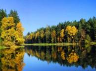 Девушка Реки, озера осень, река, лес, деревья обои рабочий стол