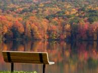 Девушка Реки, озера разноцветные, листья, день, лавочка обои рабочий стол