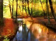 Девушка Реки, озера лес, деревья, солнце, листва, река, отражение обои рабочий стол