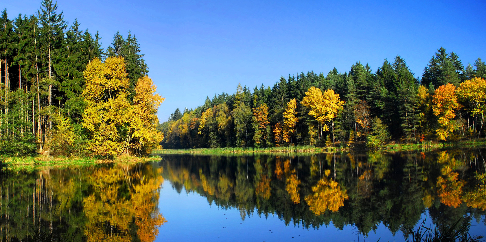 Природа, пейзаж Реки, озера осень, река, лес, деревья красивые обои рабочий стол
