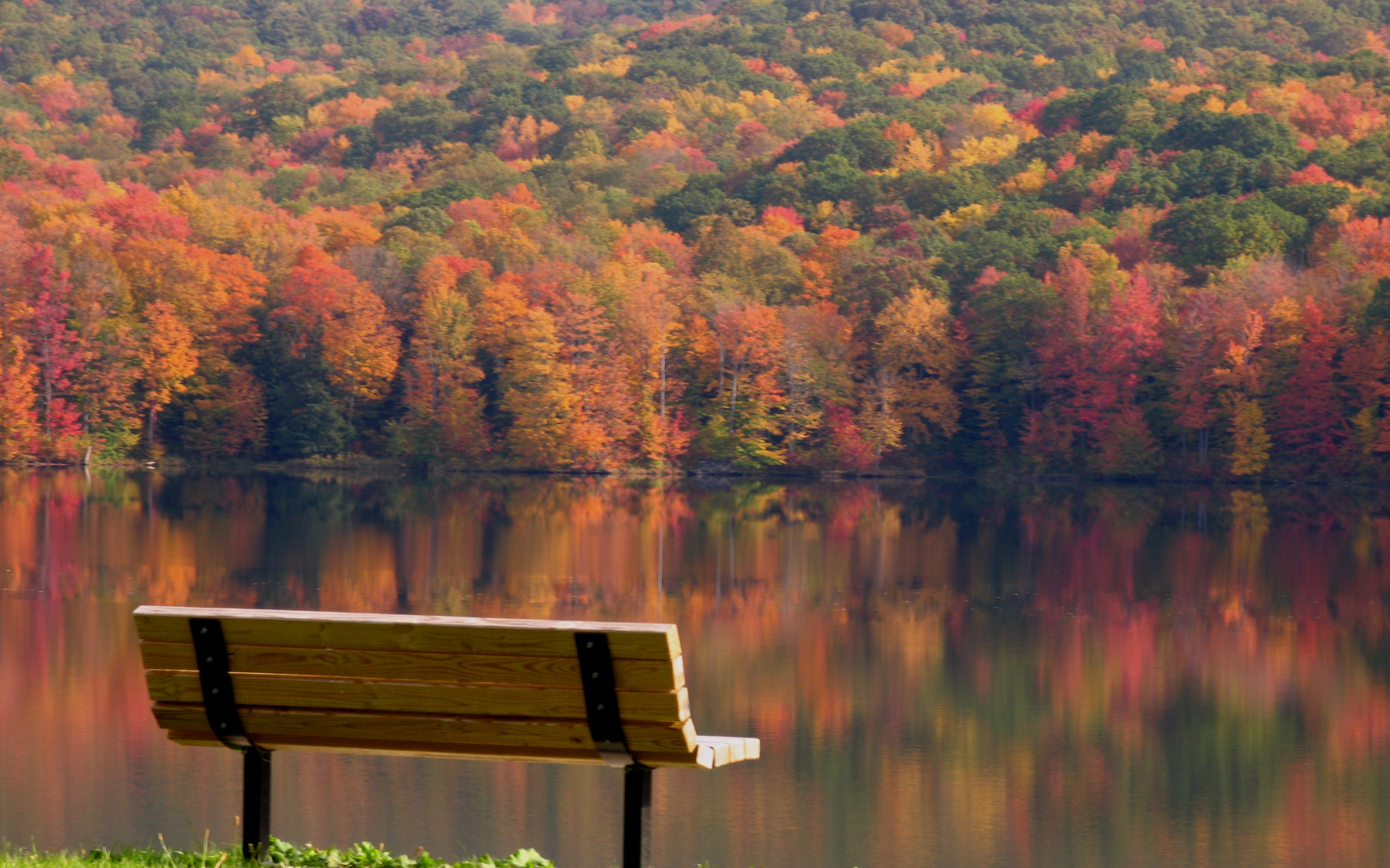 Природа, пейзаж Реки, озера разноцветные, листья, день, лавочка красивые обои рабочий стол