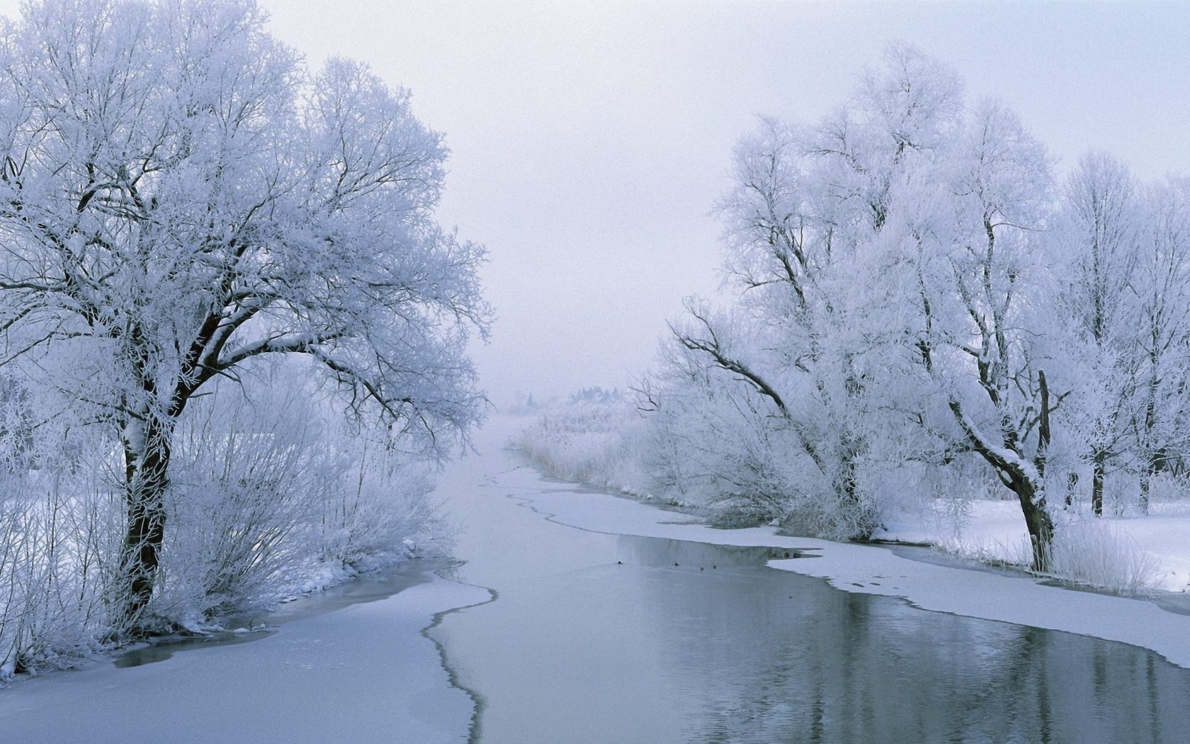 Природа, пейзаж Реки, озера Деревья, река, зима красивые обои рабочий стол