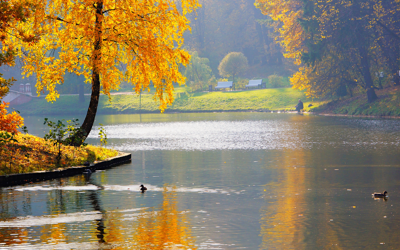 Природа, пейзаж Реки, озера осень, пруд, река, парк, рыбак, утки красивые обои рабочий стол