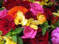 Девушка Цветы розы, красные, розовые, оранжевые, цветы, букет обои рабочий стол