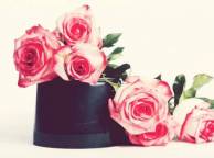 Девушка Цветы цветы, розы, розовые обои рабочий стол