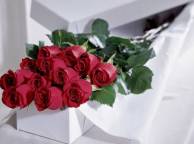 Девушка Цветы подарок, розы обои рабочий стол