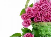 Девушка Цветы цветы, красивые, розовые, букет, корзина, корзинка обои рабочий стол