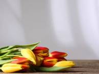 Девушка Цветы тюльпаны, стебли, стол обои рабочий стол