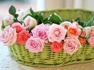 Девушка Цветы розы, бутоны, корзина обои рабочий стол