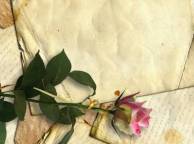 Девушка Цветы ретро, старая бумага, строки, роза, засушенный обои рабочий стол